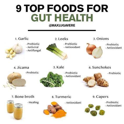Top 10 Healthy Gut Foods for Optimal Digestive Health